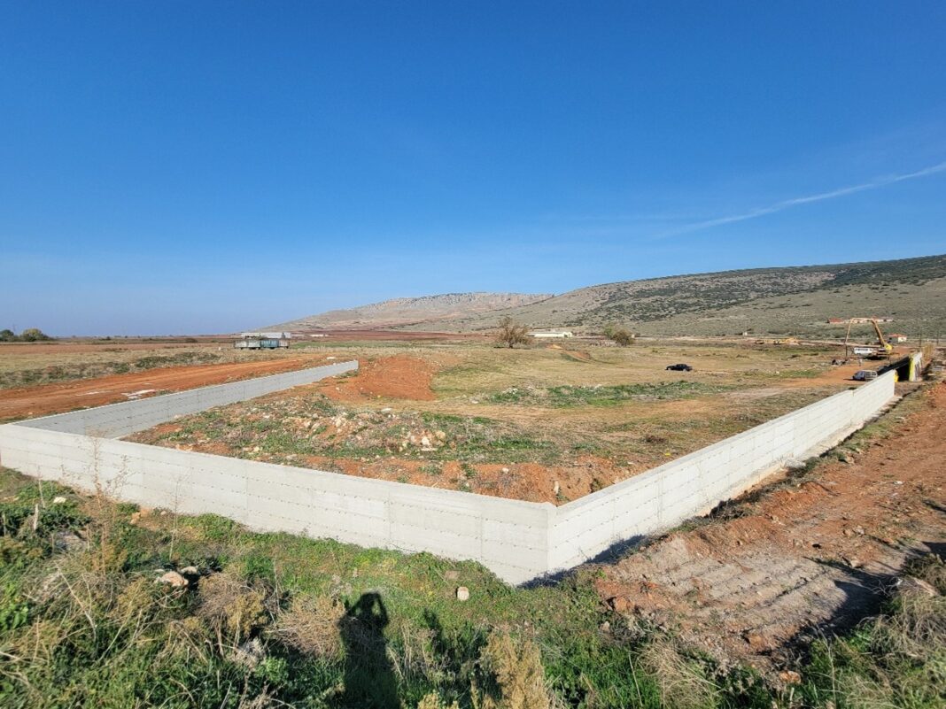 Vrysia fragma