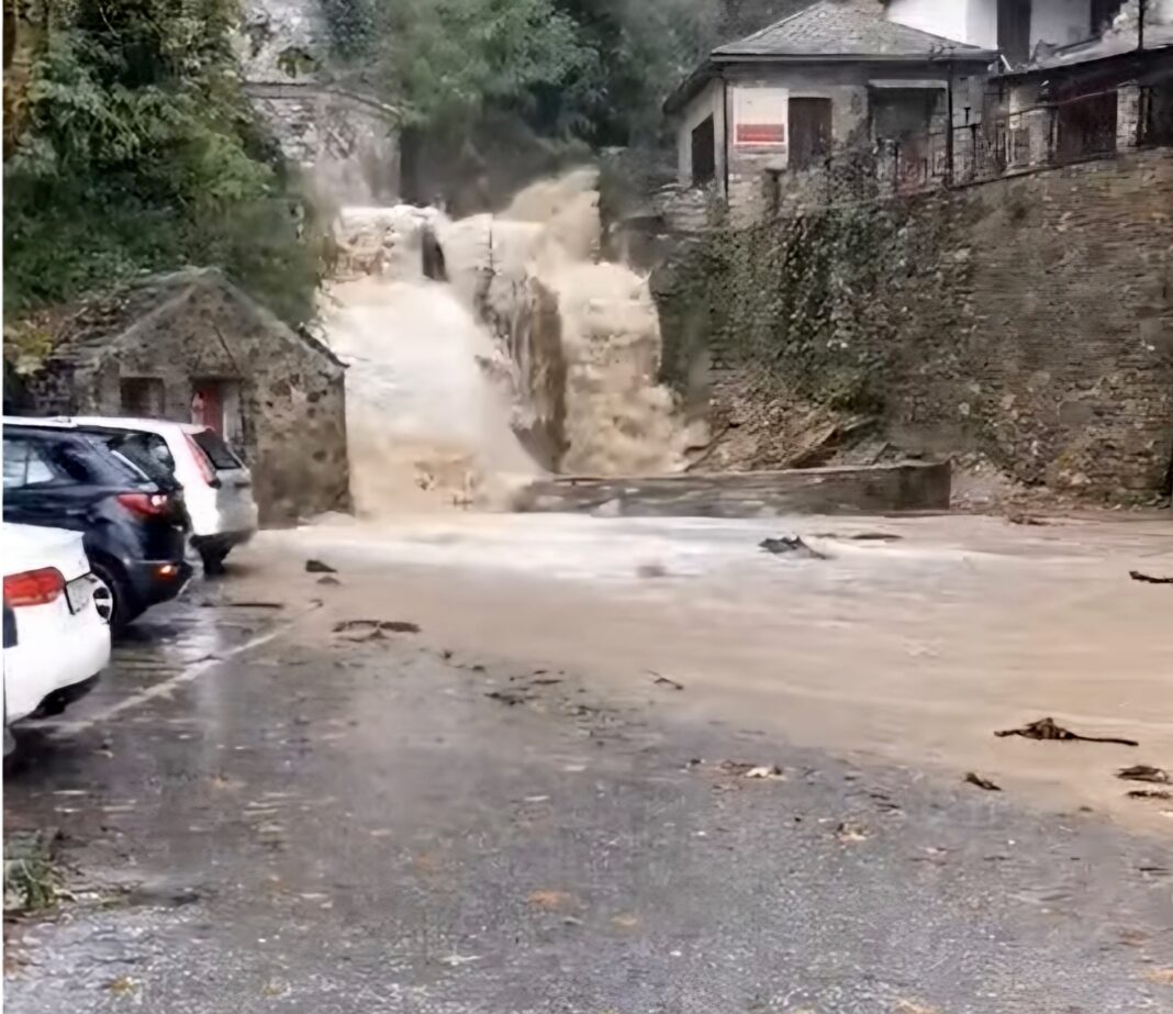 pilio plymmires