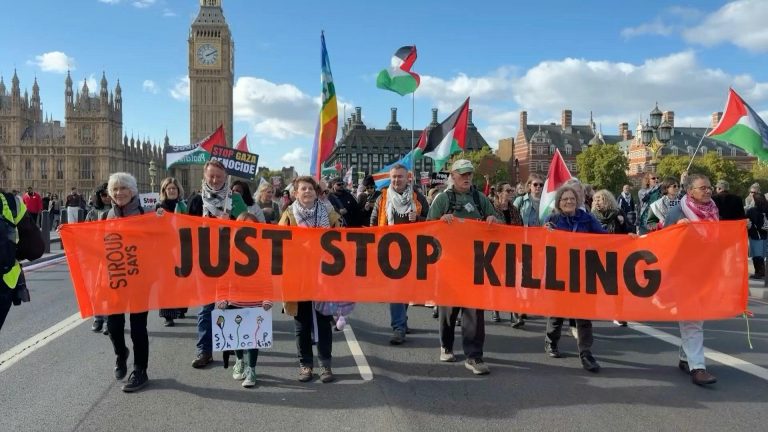 afp-tv-20261010-clj-gbr-conflictdemonstration-d2uz6cq-en-1-768x432